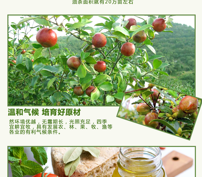 阳康茶油详情图_07.jpg