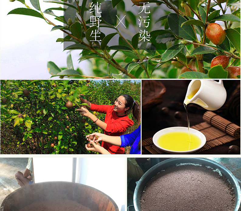 阳康茶油详情图_05.jpg