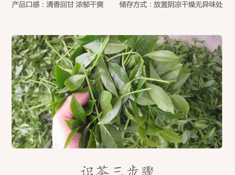 单丛袋装详情_06.jpg