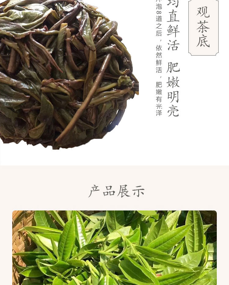 单枞茶_06.jpg
